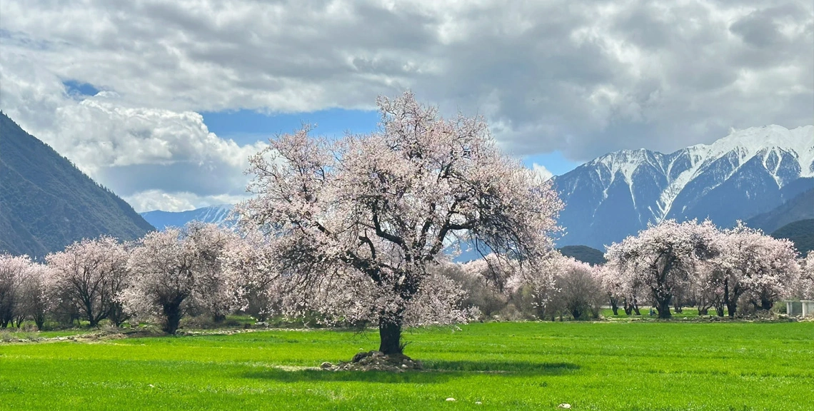 Nyingchi, Tibet